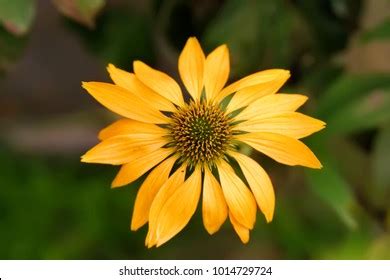 Image result for Basic Machine Learning Application Design Sample