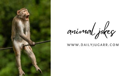 Funny Animal Jokes That Will Make You Laugh Wildly