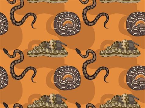 Image result for African Python Clip Art