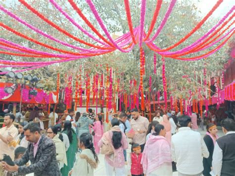 Chintapurni Temple Decorated With 50 Lakh Foreign Flowers | Himachal ...