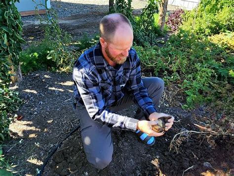 About Us | BioReGenesis website