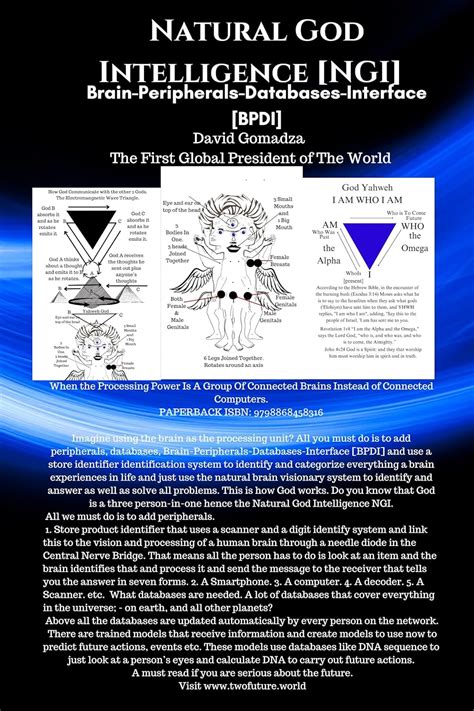 Natural God Intelligence [NGI]. Brain-Peripherals-Databases-Interface ...