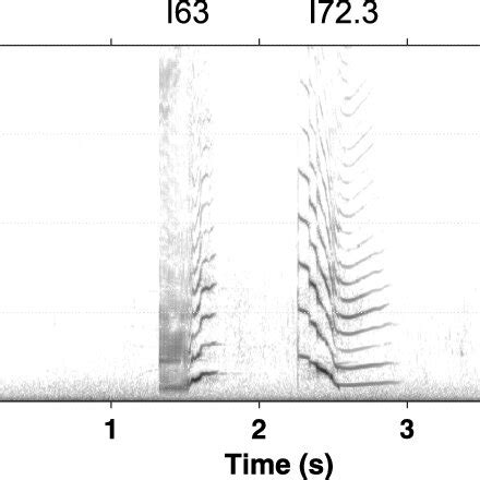Spectrogram Example 的图像结果