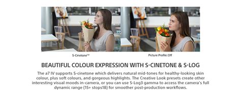 Buy Sony Alpha ILCE-7M4K Full-Frame Hybrid Camera 33MP Interchangeable ...