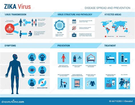 Zika virus infographic stock vector. Illustration of medical - 66715283