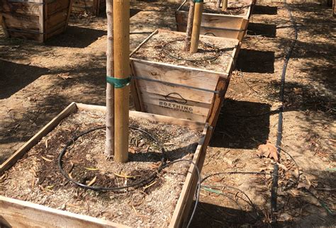 Image result for Drip Irrigation Tree Ring