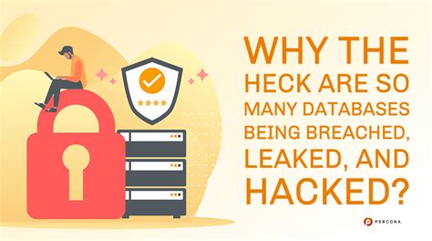 Database Security Breaches 的图像结果