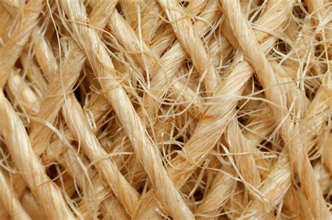 What Is Sisal and What Is it Used For? Common Uses & FAQ | Home Grail