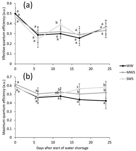 Severe Water Deficiency during the Mid-Vegetative and Reproductive ...