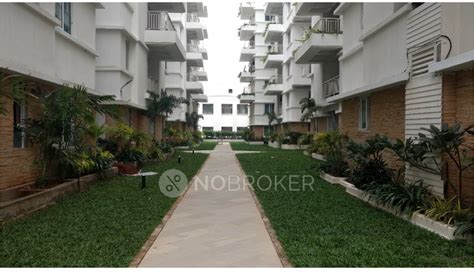 Svc Treewalk Apartments Kondapur Kondapur - Without Brokerage Fully ...