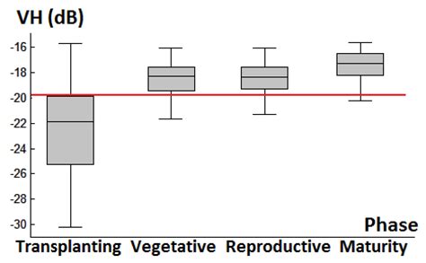 Monitoring Rice Phenology Based on Backscattering Characteristics of ...