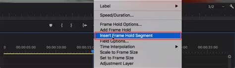 Premiere Pro Insert Text Frame 的图像结果