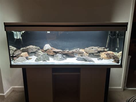 Top 100 gallon fish tank Outlet