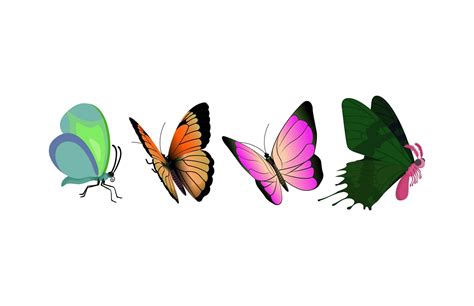 Image result for Butterfly Graph Design