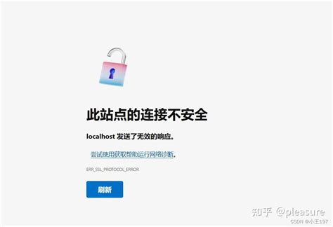 Http Localhost 0 的图像结果