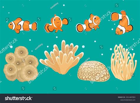 How To Draw An Anemone ArtStation Charcoal Drawing Of Anemone