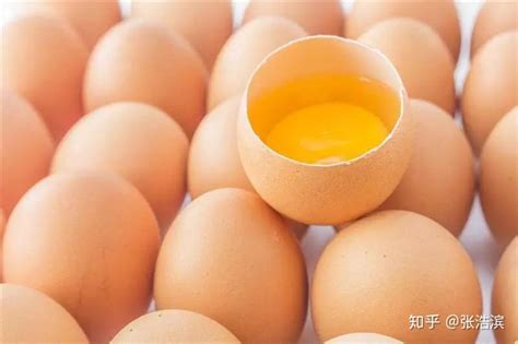 唐山鸡蛋批发|批发鲜鸡蛋|唐山鲜鸡蛋生产厂家|唐山鸡蛋养殖场|唐山鲜鸡蛋养殖场|玉田县景阔养殖有限公司