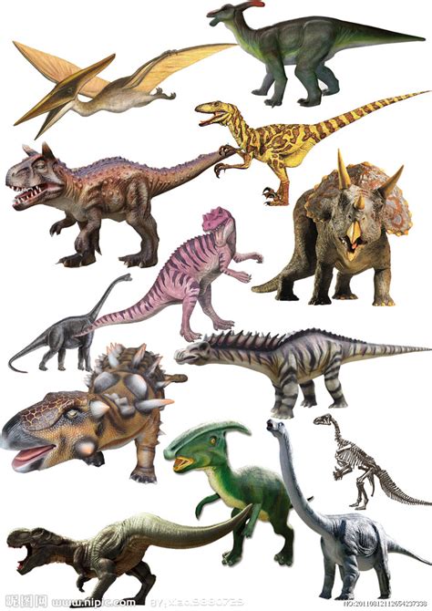 恐龙复原图都是正确的？_恐龙趣闻_自贡恐龙，有趣的恐龙，恐龙展，恐龙公园，恐龙大百科