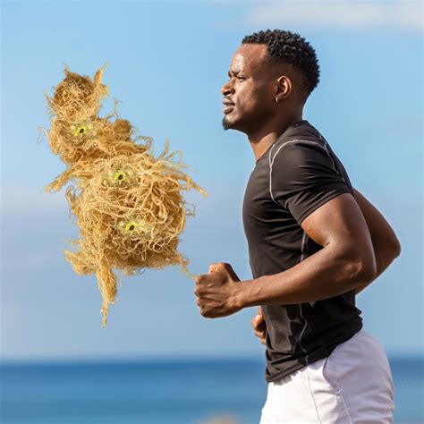 Sea Moss Benefits for Men's Health – Sunflower Wellness, Inc