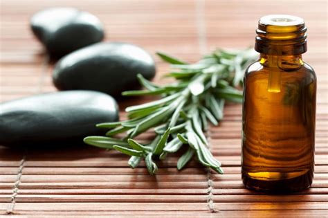 Image result for holistic medicine