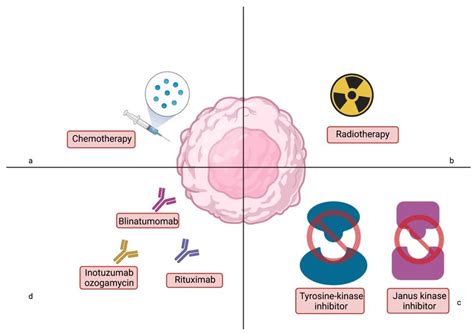 Acute Lymphoblastic Leukemia Patient