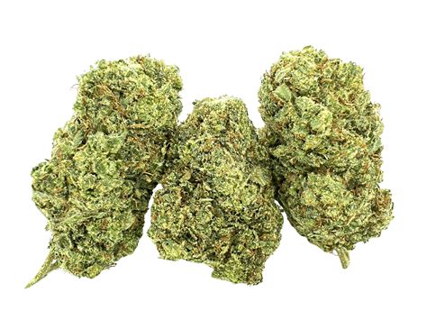 Lilac Diesel | Glass House Farms - Island Cannabistro