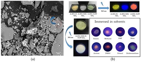 Zirconium–Polycarboxylato Gel Systems as Substrates to Develop Advanced ...