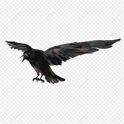 Black Flying Crow Clip Art Black Wings Sky, Art, Clip, Fly Clipart PNG ...