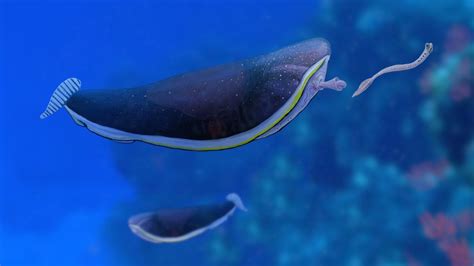 Image result for Alien Organisms