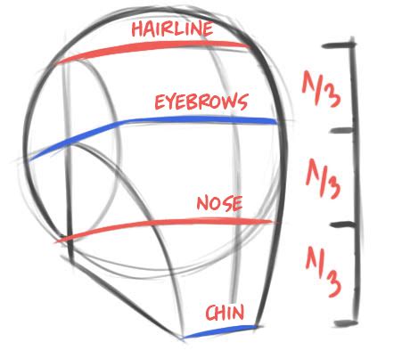 Image result for Face Structure Drawing