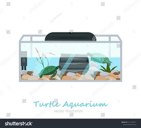 Image result for How to Draw House Using a Turtle