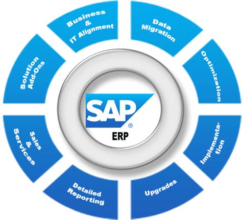 SAP Implementations – REVIVERA