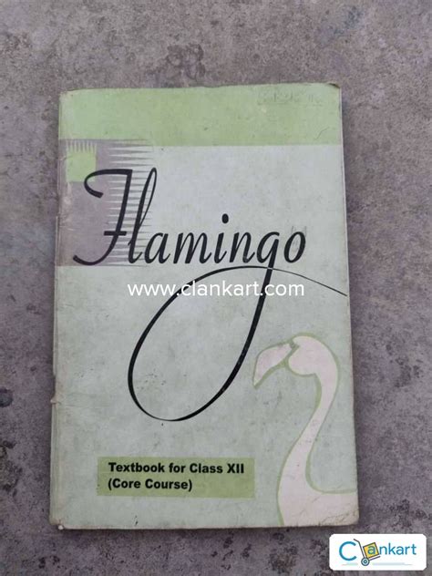 Image result for Class 12 Novel CBSE