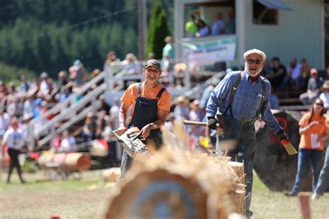 Image result for Logging Shows