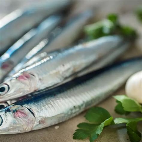 It's Raining Fish In San Francisco