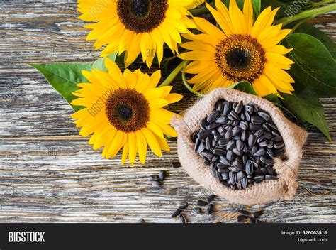 Do Raw Sunflower Seeds Expire at Randy Eubanks blog