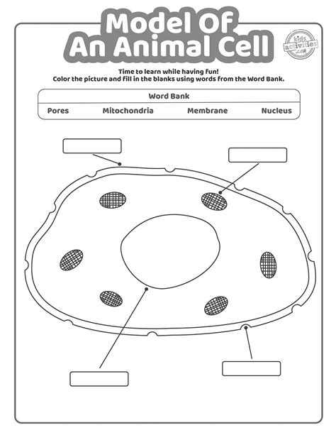 Animal Cell Coloring