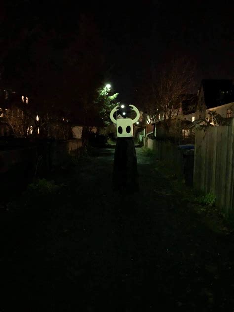 It's Halloween. Cue Hollow Knight costumes. : r/HollowKnight