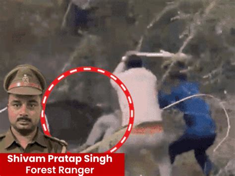 Wild boar mauls forest officer in Badaun village: Rescue team beats ...