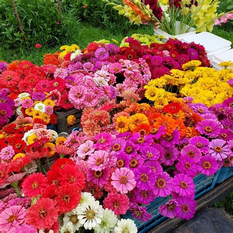 Sip & Clip at Fallen Maple Farm, 7909 Long Grove Road, Elizabethtown ...