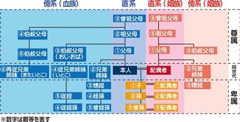 Image result for LLM Interface Example