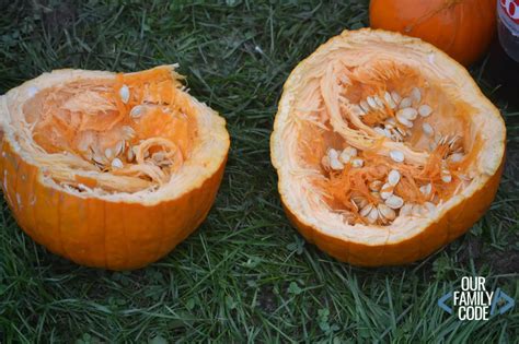 Image result for Exploding Pumpkin Carving