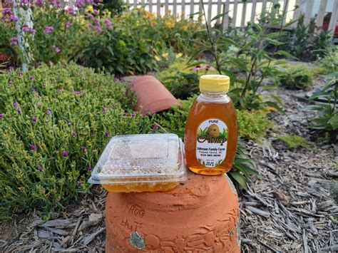 Introduction to Beekeeping, Fuquay Varina Community Center, Fuqua ...