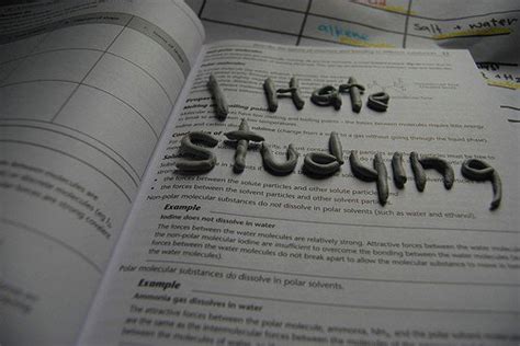 Image result for Work Over Study