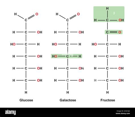 Molecular Structure Of Glucose Fructose And Galactose