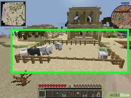 Image result for How to Make a Minecraft Java Wool Farm