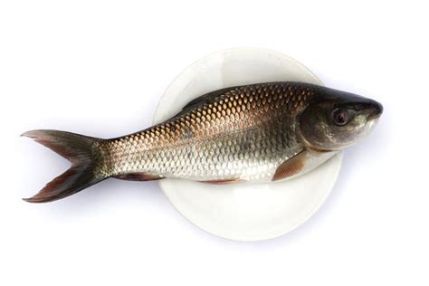 Pune Price_List_2025