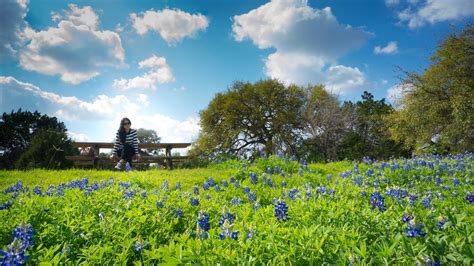 Circle C Ranch, Austin location de vacances: maisons de vacances etc ...