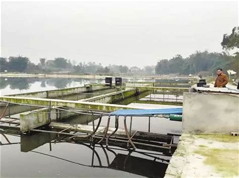 池塘循环水养殖，低碳高效，值得一看 - 知乎