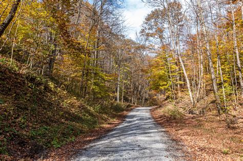 Best Ohio Public Hunting Lands For Snagging A Big Buck